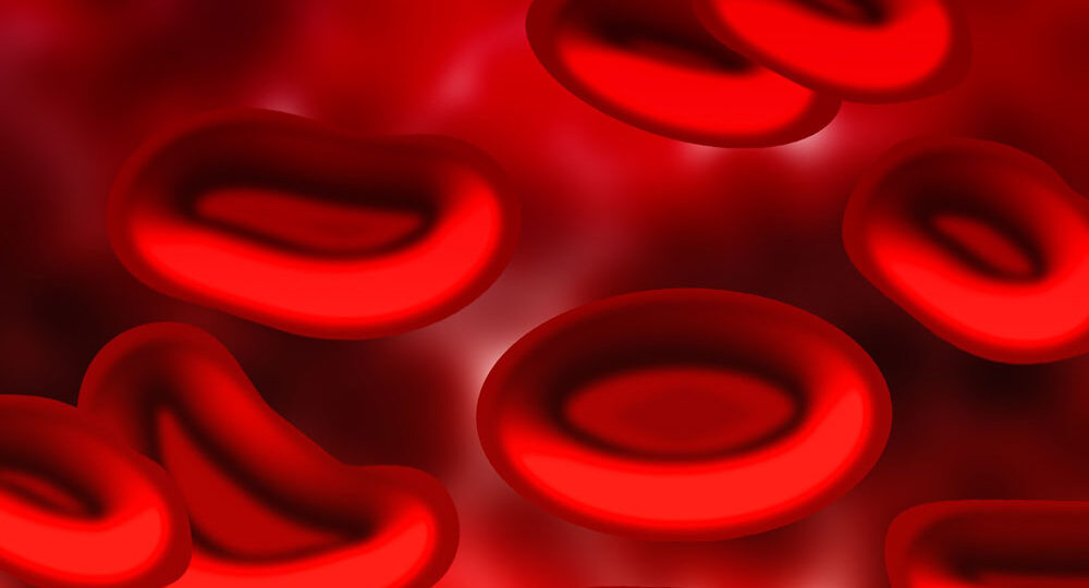 Increase Blood Hemoglobin Levels