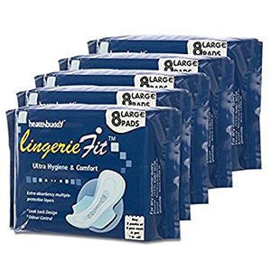 Health Buddy Lingerie Fit Sanitary Pads