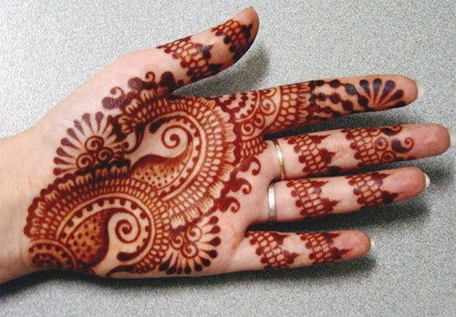 The Paisley Pattern Mehandi Designs